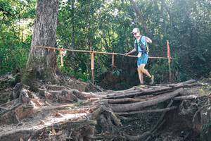 BIB: 
                            <button type="button" onclick="openModal(27748971)" class="btn btn-primary btn-sm float-right btn-popup" data-toggle="modal" data-target=".modal-high-quality">
                        <i class="fas fa-shopping-cart"></i> Add to Cart
                    </button>
                                            <button type="button" onclick="isThisMe(27748971, true)" class="btn btn-success btn-sm float-right btn-popup btn-isme hidden" data-toggle="tooltip" data-placement="bottom" title="นี่คือรูปของคุณใช่ไหม คลิกที่นี่เพื่อเอาเข้าอัลบั้ม">
                        <i class="fas fa-plus"></i> Add to album
                    </button>
                    <button type="button" onclick="isThisMe(27748971, false)" class="btn btn-warning btn-sm float-right btn-popup btn-isnotme hidden">
                        <i class="fas fa-ban"></i> Remove from album
                    </button>